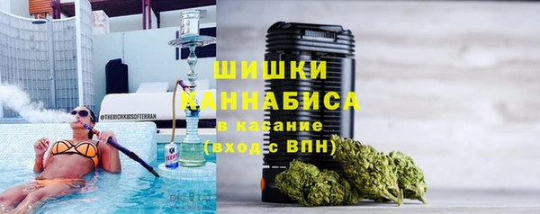 спиды Богородицк