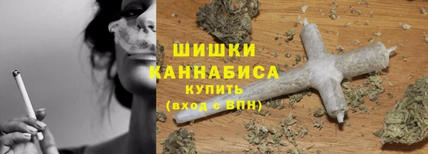 спиды Богородицк