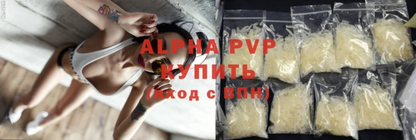 гидра Богданович