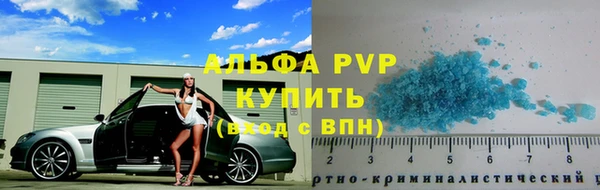 гидра Богданович