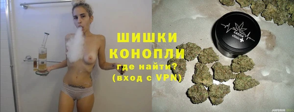 спиды Богородицк