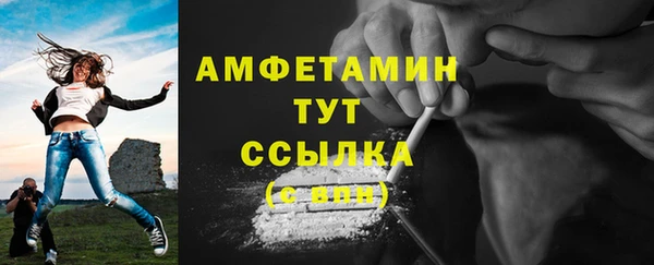 спиды Богородицк