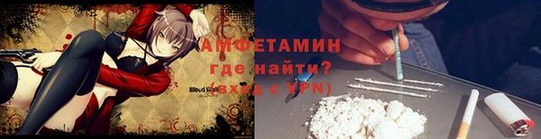 спиды Богородицк