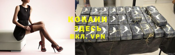 спиды Богородицк