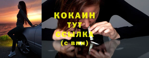 гидра Богданович