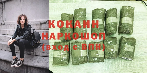спиды Богородицк