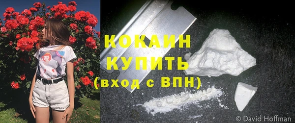 гидра Богданович