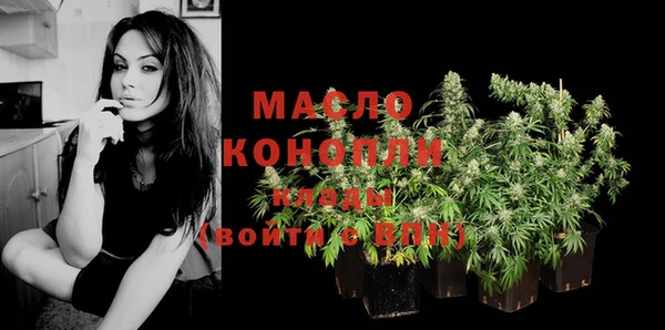 спиды Богородицк
