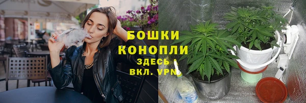 спиды Богородицк