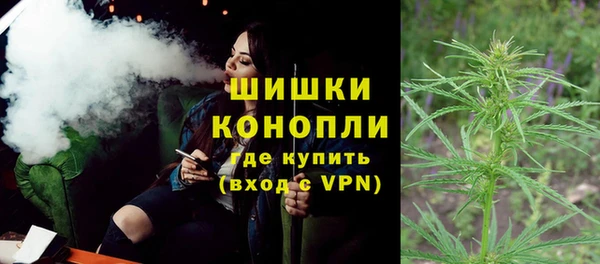гидра Богданович