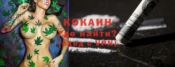 спиды Богородицк