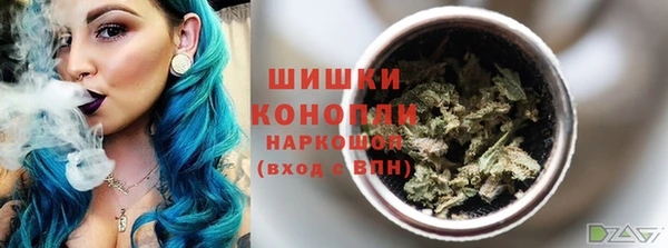 гидра Богданович