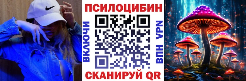 Псилоцибиновые грибы Psilocybine cubensis  Тихвин 