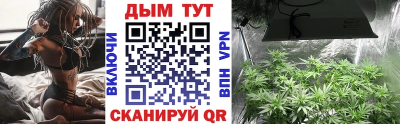 Бошки марихуана конопля  наркошоп  Тихвин 